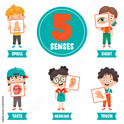 Five Senses Concept With Human Organs