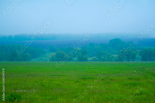 landscape with field and forest in the distance