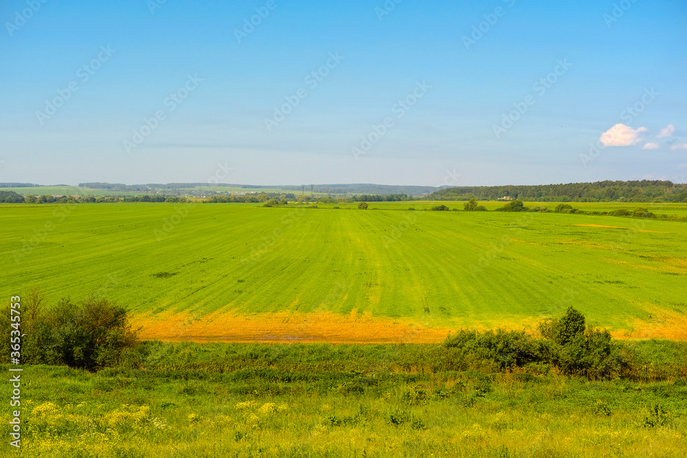 the image of a field