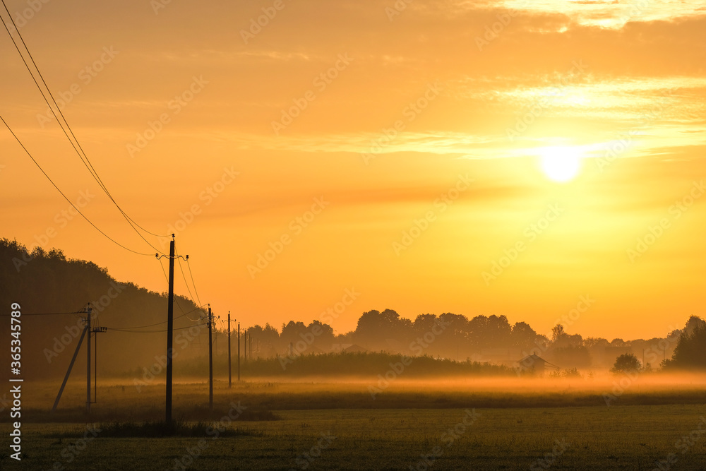 image of a power line on a field at sunset in summer