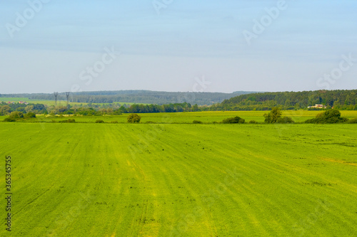 the image of a field