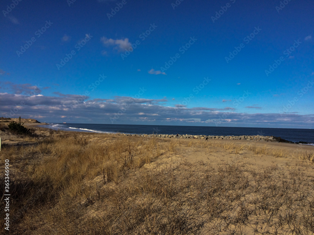 Sandy dunes and grassland overlook Atlantic Ocean at Cape Henlopen State Park, Lewes, DE, Sandy dunes and grassland overlook Atlantic Ocean at Cape Henlopen State Park, Lewes, DE,