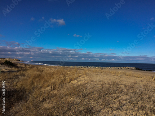 Sandy dunes and grassland overlook Atlantic Ocean at Cape Henlopen State Park, Lewes, DE,
