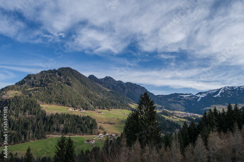 Beautiful Austrian forest and hills. © Adam