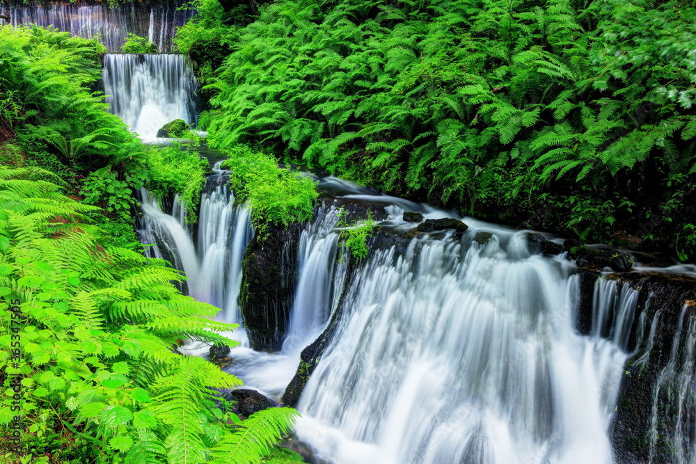 軽井沢　白糸の滝