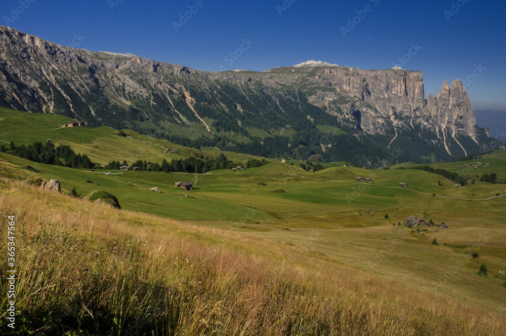 Sciliar mountain with Santner peak at its north west end as seen in the morning from Alpe di Siusi/Seiser Alm high plateau, on the trail over Denti di Terrarossa range, Dolomites, South Tirol, Italy.