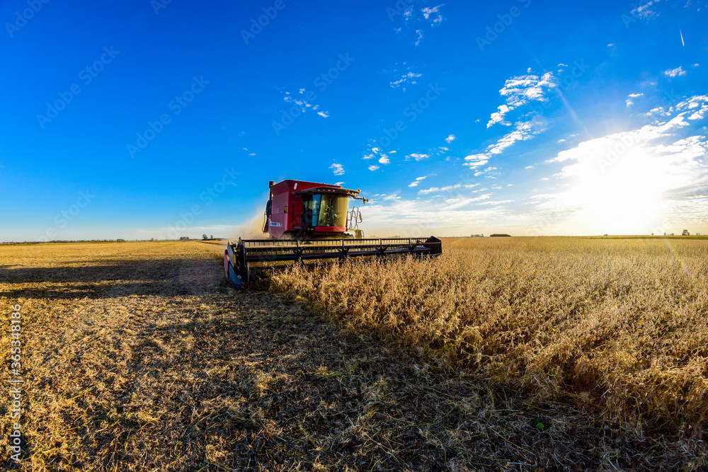 Fototapeta premium trabajo rural
