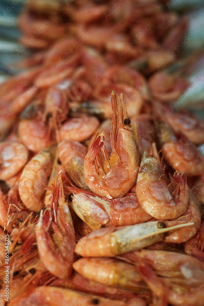 fresh prawns on ice, photo taken at a fish exhibition, close-up fresh prawns on ice, photo taken at a fish exhibition, close-up