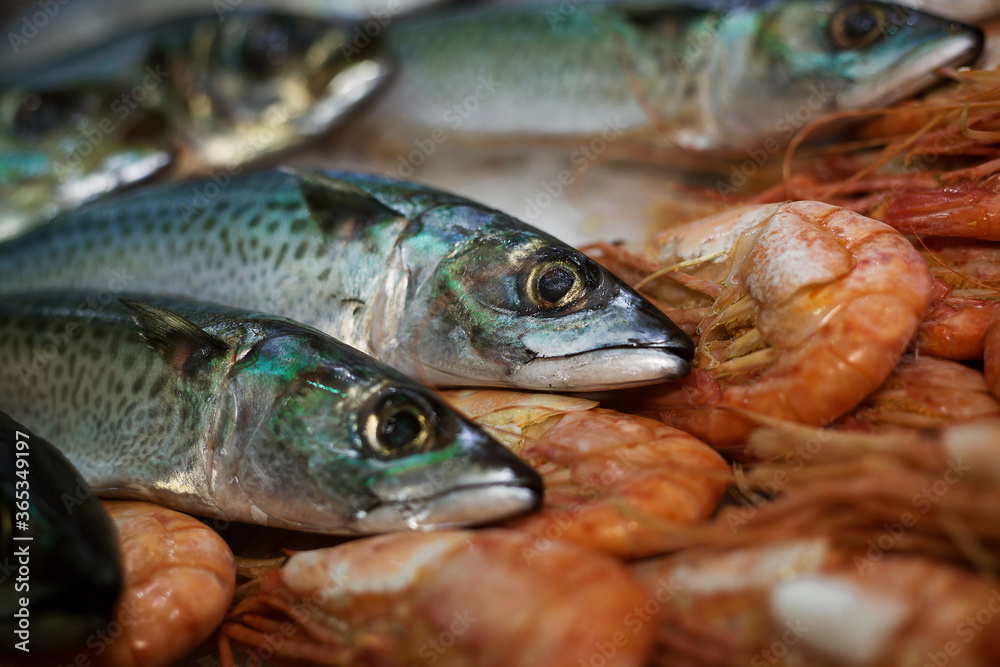 fresh mackerel fish lying on the ice next to shrimps, photo taken at a fish exhibition