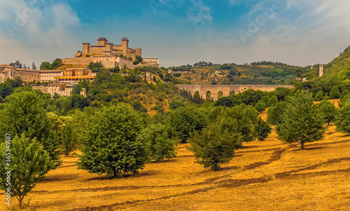 A view across a straw lined olive grove towards the Tower Bridge and the hill top fortress in Spoleto, Italy in summer