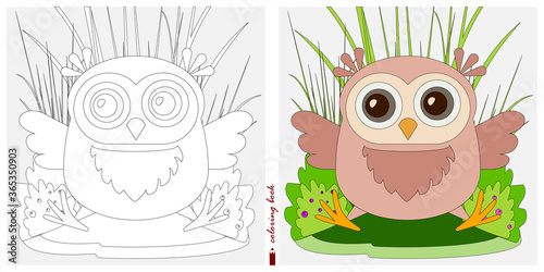 Black-and-white and color images for a color book. Contour drawing with children's themes. An owl is sitting in a clearing among reeds and ferns. For color books, children's prints, postcards.