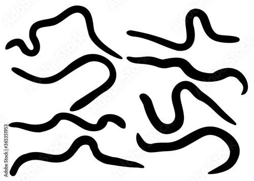 Worm for fishing.