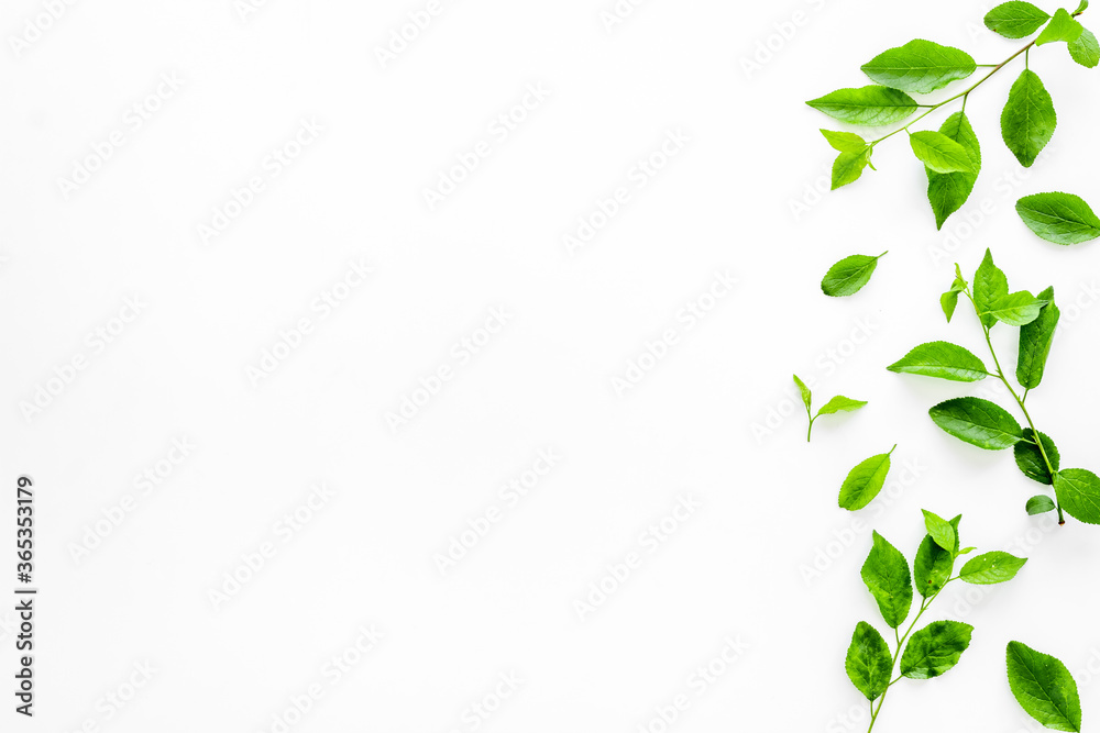 Natura layout of green tree leaves, concept, top view, flat lay