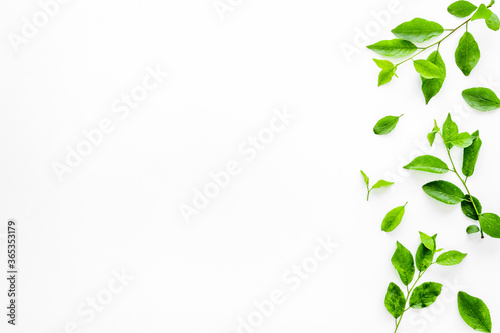 Natura layout of green tree leaves, concept, top view, flat lay