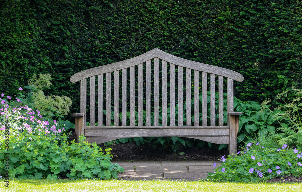High arched two seater garden bench in natural timber placed against a high dark green hedge with flowers surrounding the feet of the bench in summertime. High arched two seater garden bench in natural timber placed against a high dark green hedge with flowers surrounding the feet of the bench in summertime.