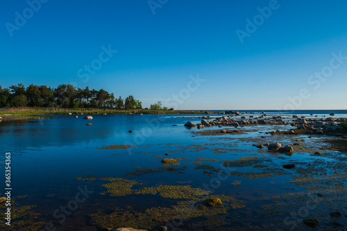 Beautiful coastline filled with small stones mixed with grass. Bright sunny morning on the ocean coast. Beautiful nature.