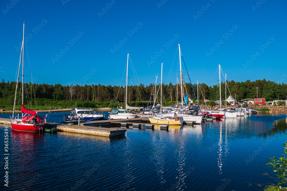 Yacht club, with a lot of different yachts and boats, ships. Beautiful nature, green forest in the background. A beautiful red yacht in the foreground.