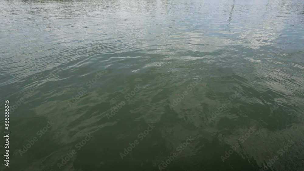 Reflecting water surface of a river in daylight Reflecting water surface of a river in daylight