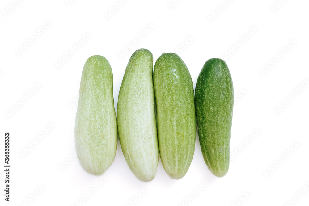 fresh green cucumbers with a background isolated white background fresh green cucumbers with a background isolated white background