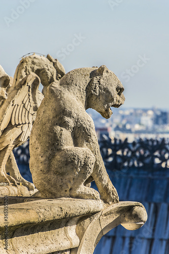 Famous Stone demons gargoyle and chimera on Notre Dame de Paris. View from top of Notre Dame de Paris. France. 