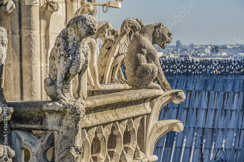 Famous Stone demons gargoyle and chimera on Notre Dame de Paris. View from top of Notre Dame de Paris. France. 