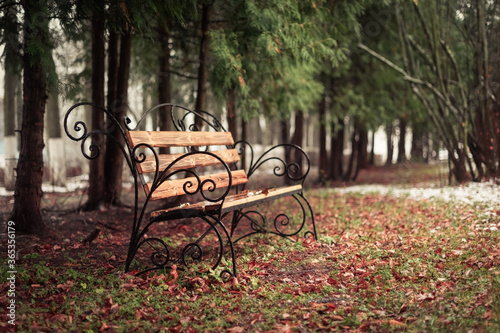 Lonely wrought iron bench in the park in late autumn. Fallen leaves and the first snowfall.