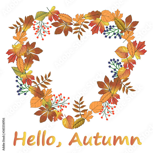 Card with autumn leaves in the shape of a heart.The inscription Hello autumn.Autumn Golden yellow and purple leaves.Red and black Rowan berries.Autumn motif.Vector illustration.