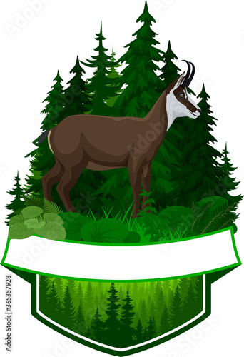 vector woodland emblem with chamois
