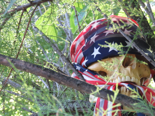 Fototapeta skull in American flag
