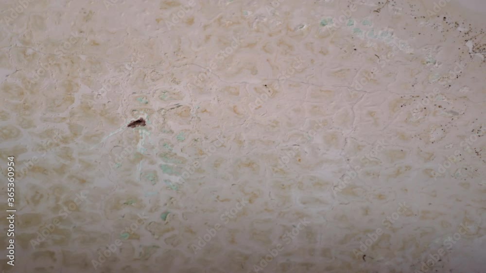 Damaged plaster ceiling in apartment, leaking roof and falling plaster