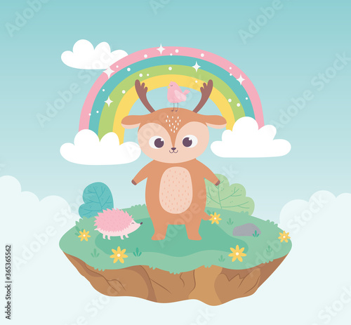 cute deer bird and hedgehod animals adorable with flowers and rainbow cartoon photo