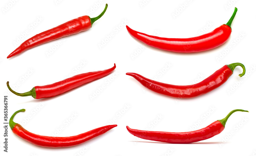Collection one red chili pepper isolated on white background