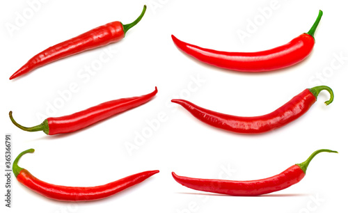 Collection one red chili pepper isolated on white background