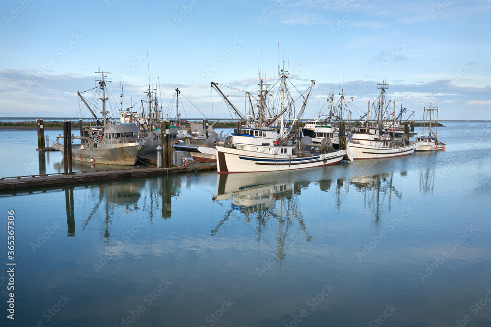 Fototapeta premium Commercial Fishboats Richmond BC. Commercial fishboats in the harbor of Steveston, British Columbia, Canada near Vancouver. Steveston is a small fishing village on the banks of the Fraser River.