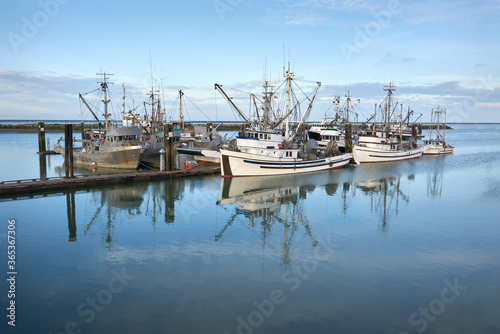 Fototapeta Naklejka Na Ścianę i Meble -  Commercial Fishboats Richmond BC. Commercial fishboats in the harbor of Steveston, British Columbia, Canada near Vancouver. Steveston is a small fishing village on the banks of the Fraser River.

