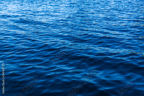 Blue water texture. Waves in a lake background. Sunshine over water and small waves. 