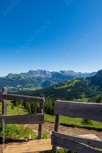 meadow woth wooden fence in the dolomite alps  south tyrol  italy