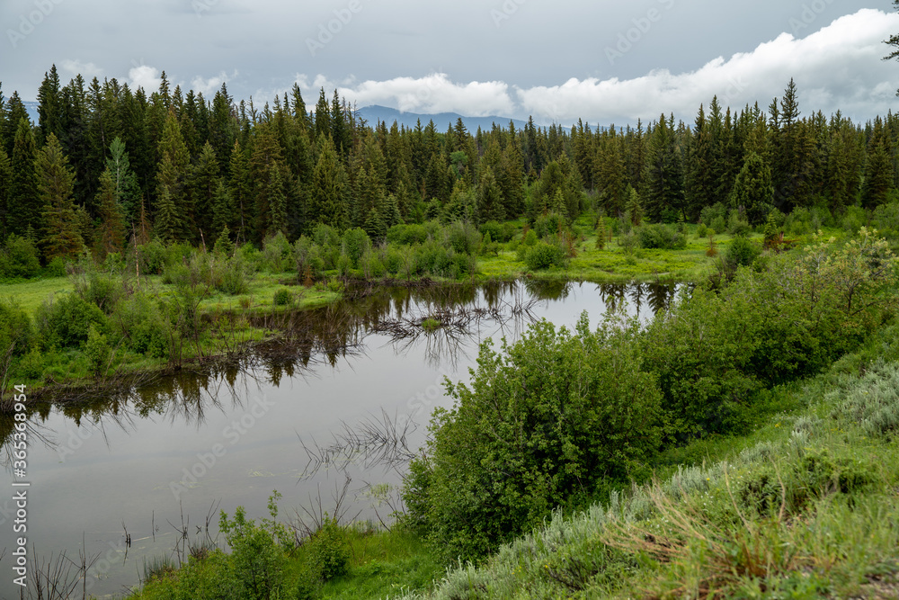 The Snake River along Moose-Wilson Road in Grand Teton National Park. Calm river water