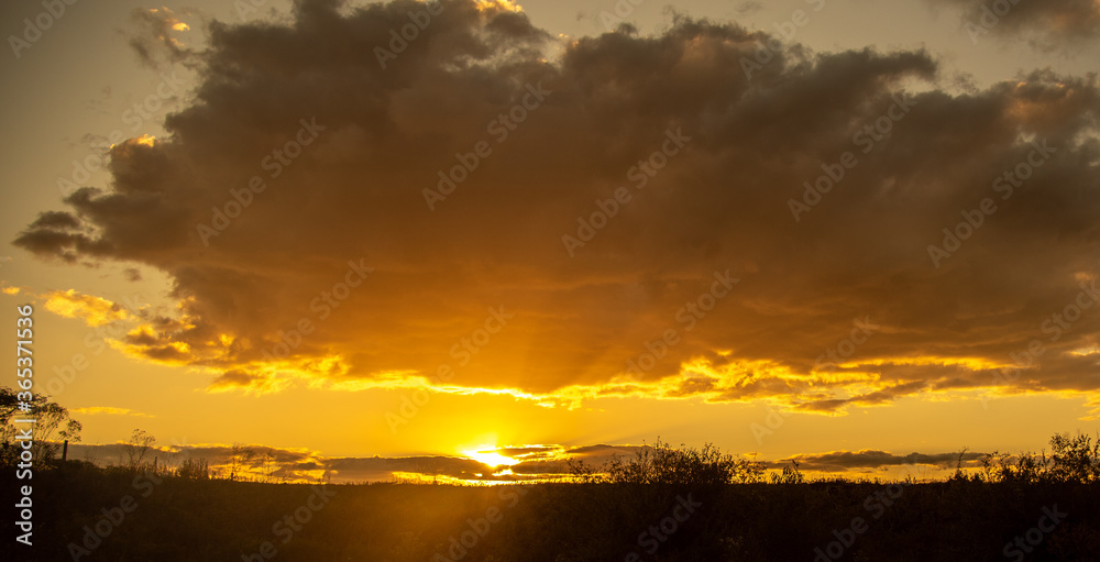 Rural landscape at dusk in the region of the Pampa Biome bordering Brazil and Uruguay Rural landscape at dusk in the region of the Pampa Biome bordering Brazil and Uruguay
