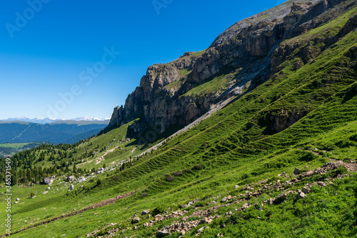 mountain meadow landscape panorama Seiser Alm   dolomiti italy