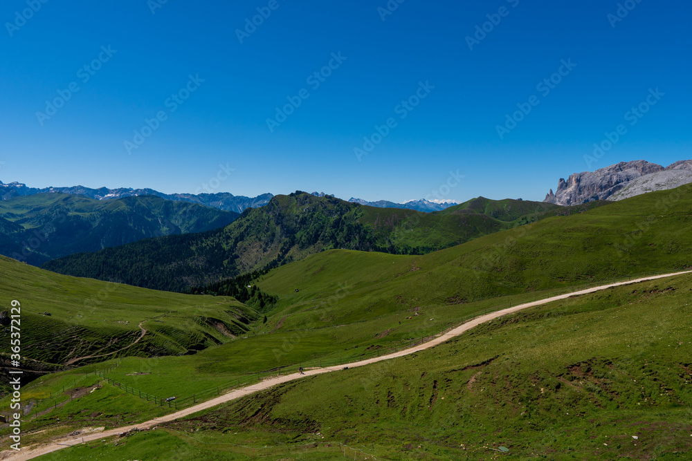 Incredible nature landscape in Dolomites Alps. Spring blooming meadow. Flowers in the mountains. Spring fresh flowers. View of the mountains. Panorama of Dolomites, Italy. Daisy flowers.