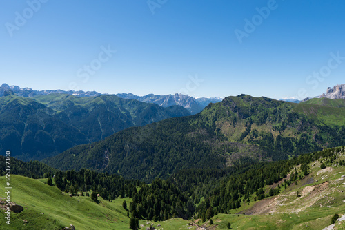 Incredible nature landscape in Dolomites Alps. Spring blooming meadow. Flowers in the mountains. Spring fresh flowers. View of the mountains. Panorama of Dolomites, Italy. Daisy flowers. © Martin