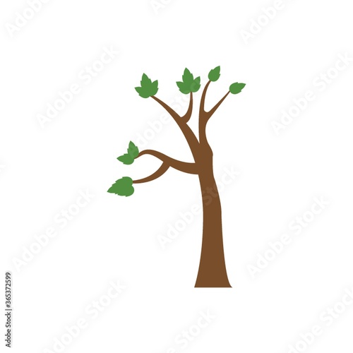 tree with growing leaves
