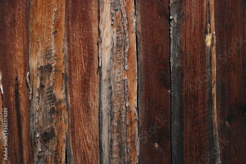 old wooden grunge wall, natural texture, background 