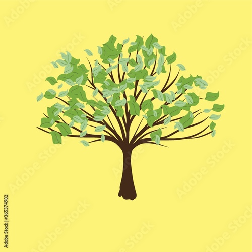 tree