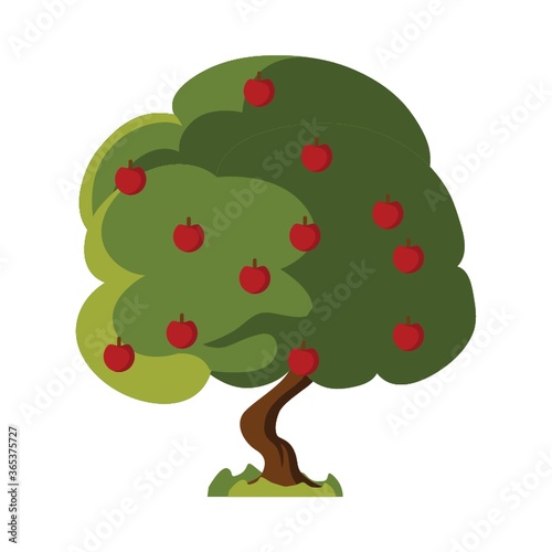 apple tree