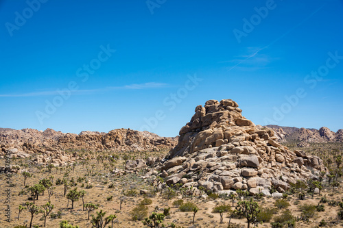 Rock formation surrounded by Joshua Trees in Joshua Tree National Park in California.