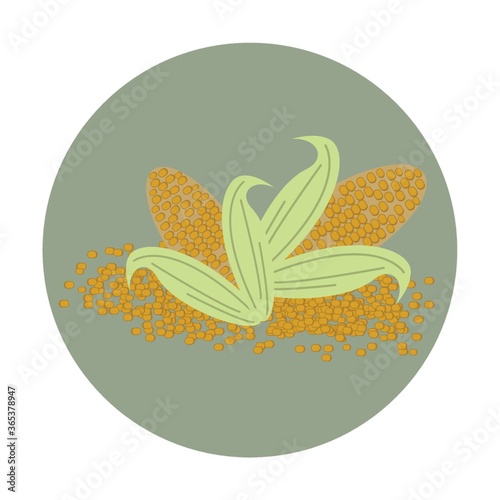 corn