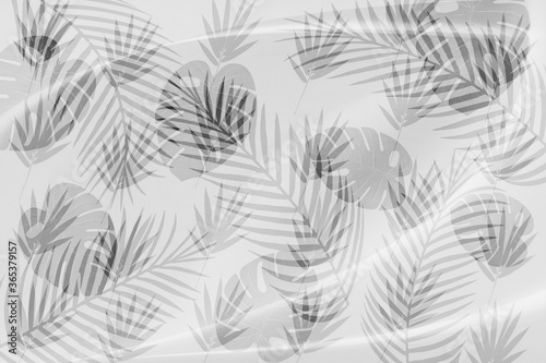 The leaf pattern on the  brick wall can be used as a background.