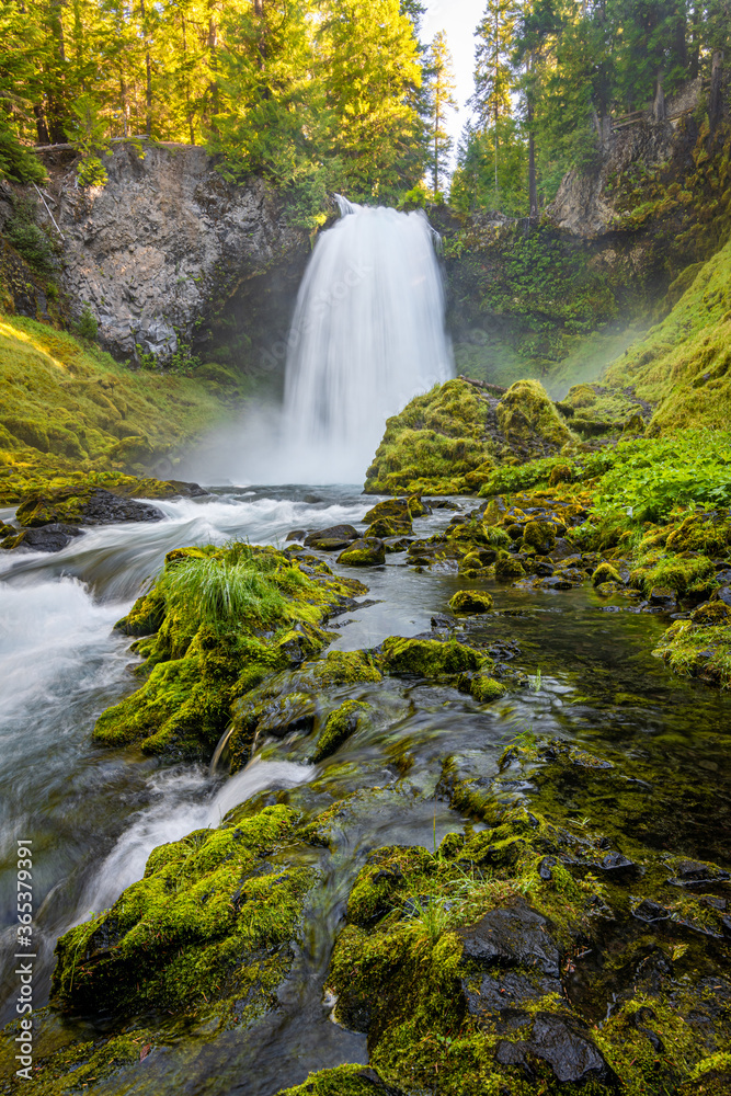 Obraz premium waterfall in autumn forest